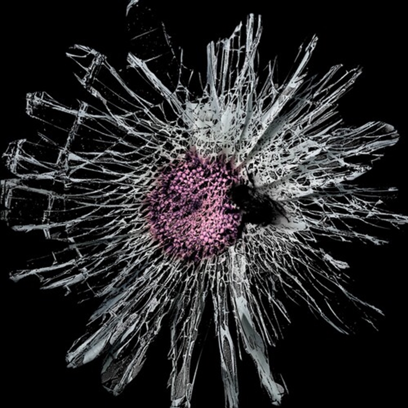 004/Product Detail/Rock/Pop