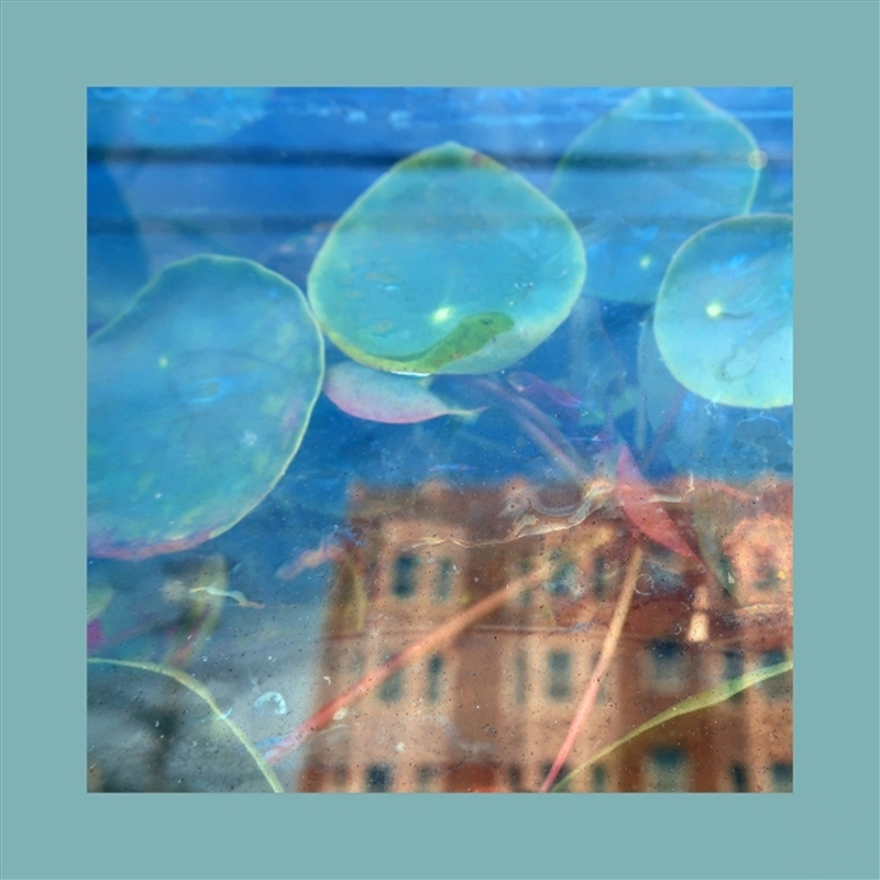 Acknowledge Kindness - Subconscious Window Pane Vinyl/Product Detail/Rock/Pop