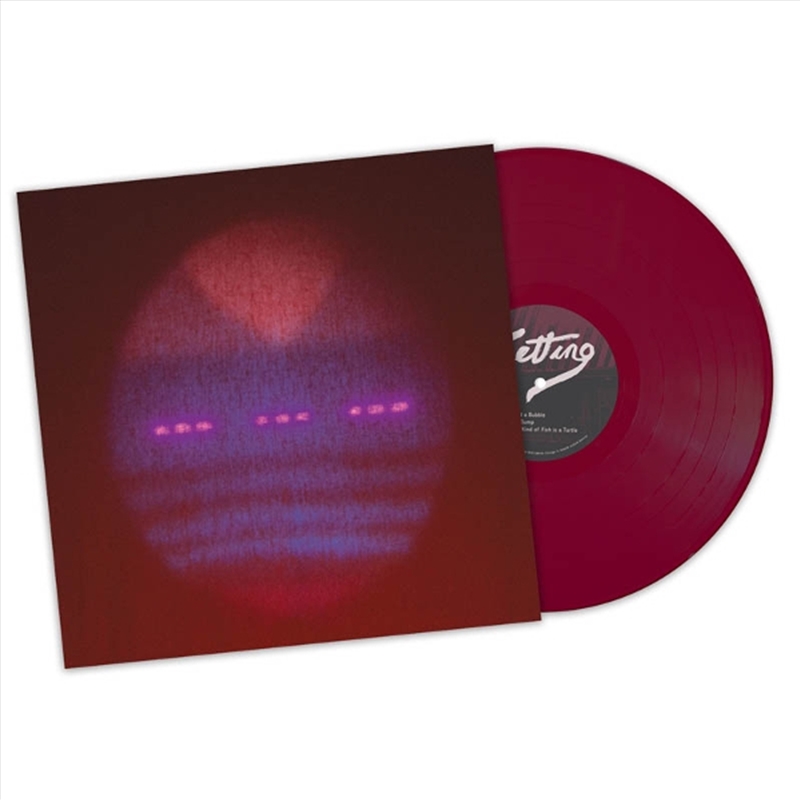 Setting - Opaque Maroon Vinyl/Product Detail/Alternative