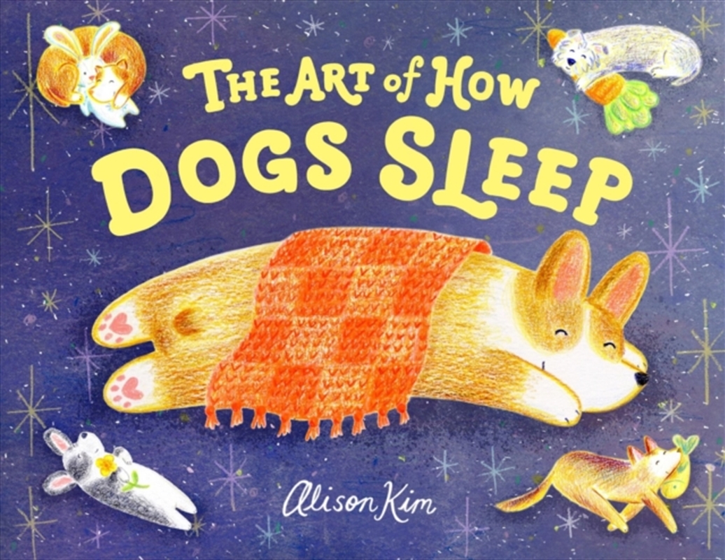 The Art of How Dogs Sleep/Product Detail/Childrens Fiction Books