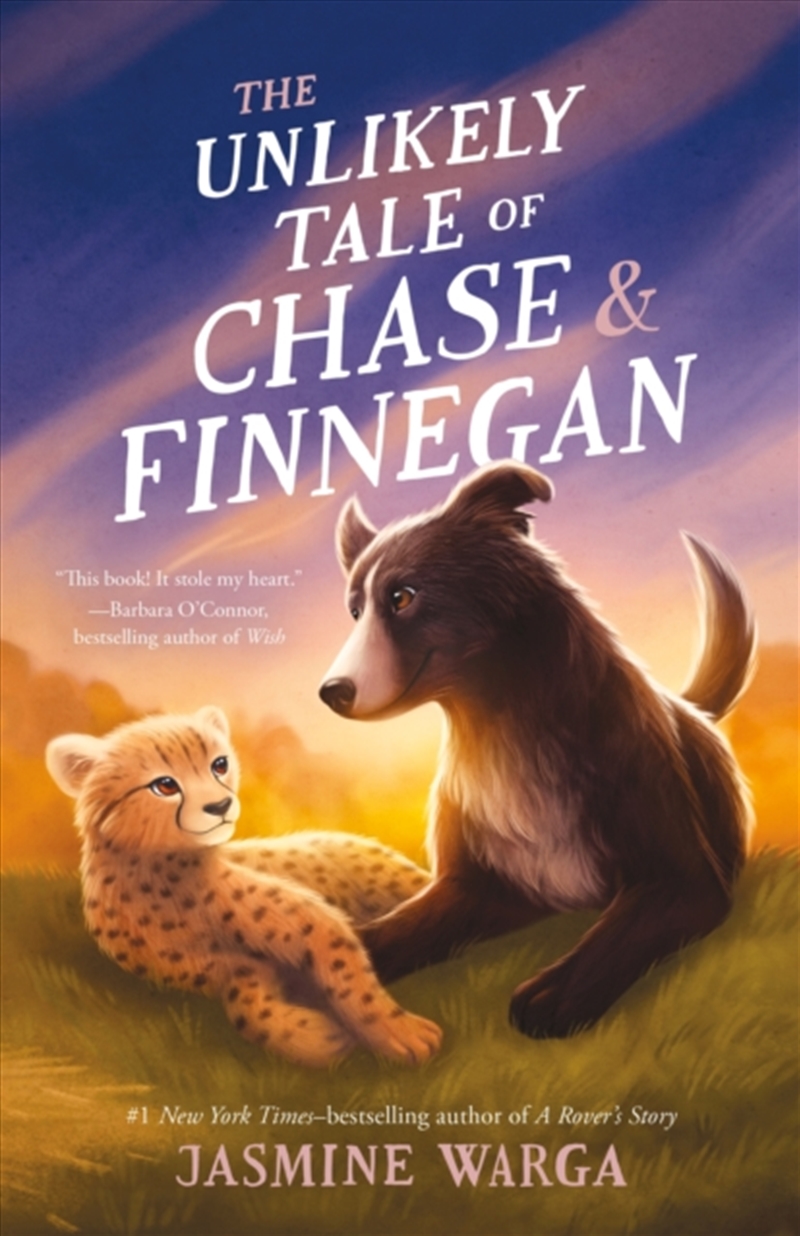 The Unlikely Tale of Chase and Finnegan/Product Detail/Childrens Fiction Books
