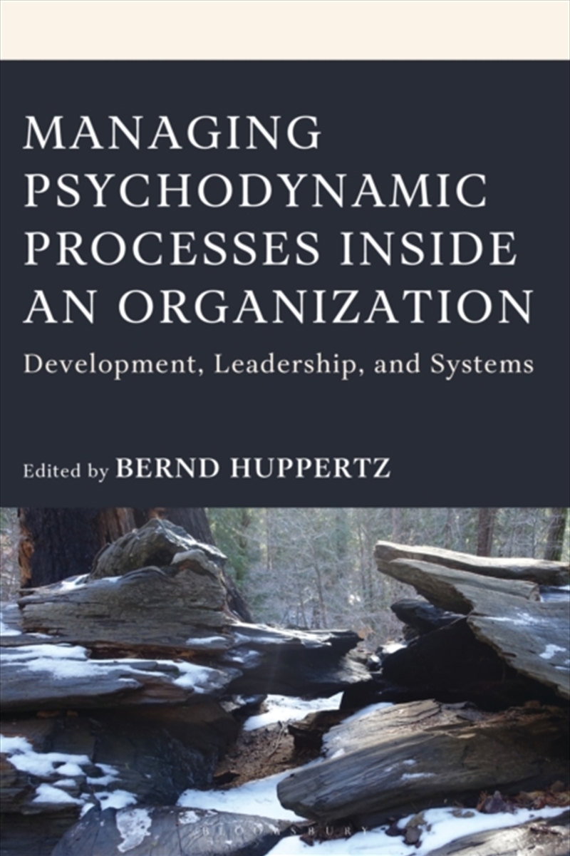 Managing Psychodynamic Processes Inside an Organization: Development, Leadership, and Systems/Product Detail/Psychology
