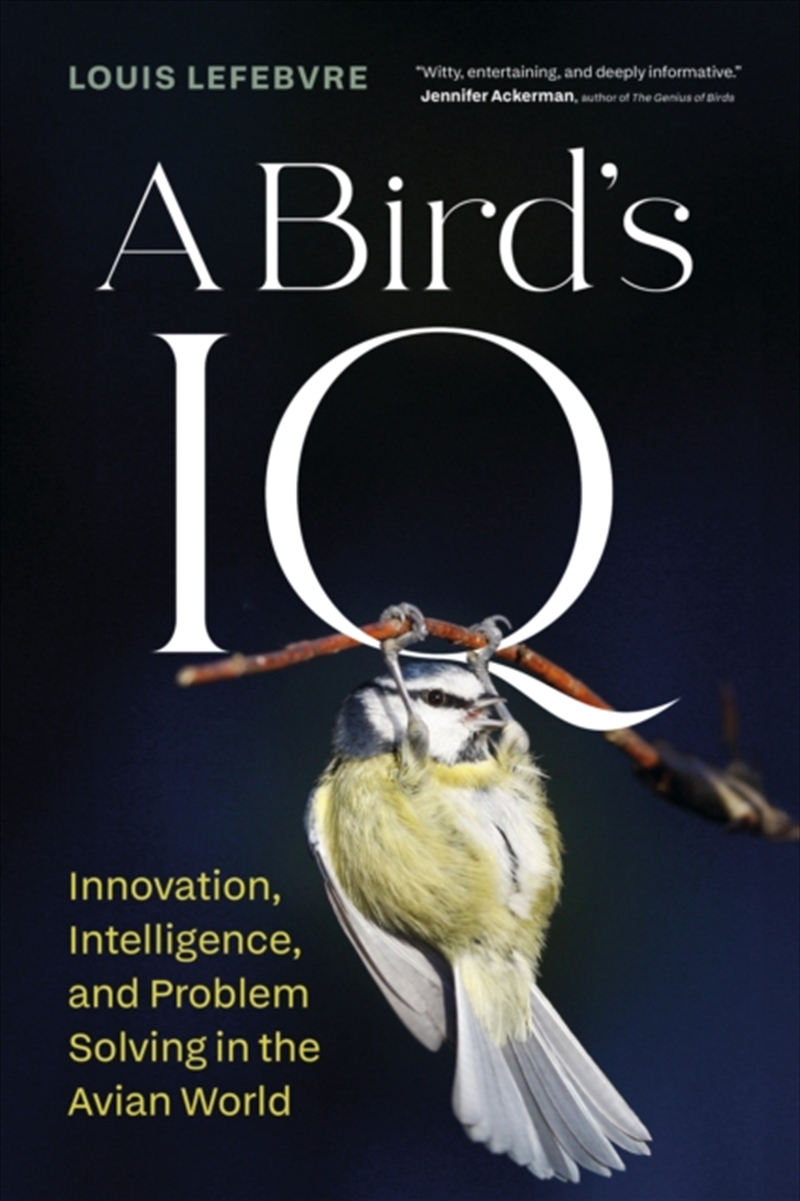 A Bird's IQ/Product Detail/Animals & Nature