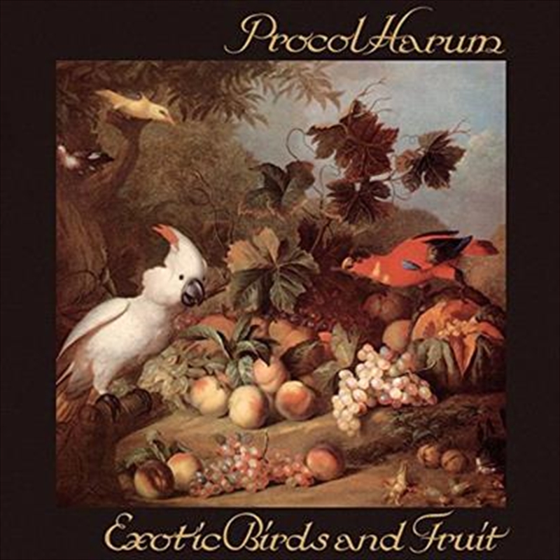 Exotic Birds And Fruit/Product Detail/Rock