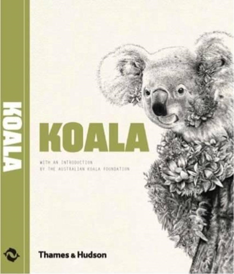 Koala/Product Detail/Animals & Nature