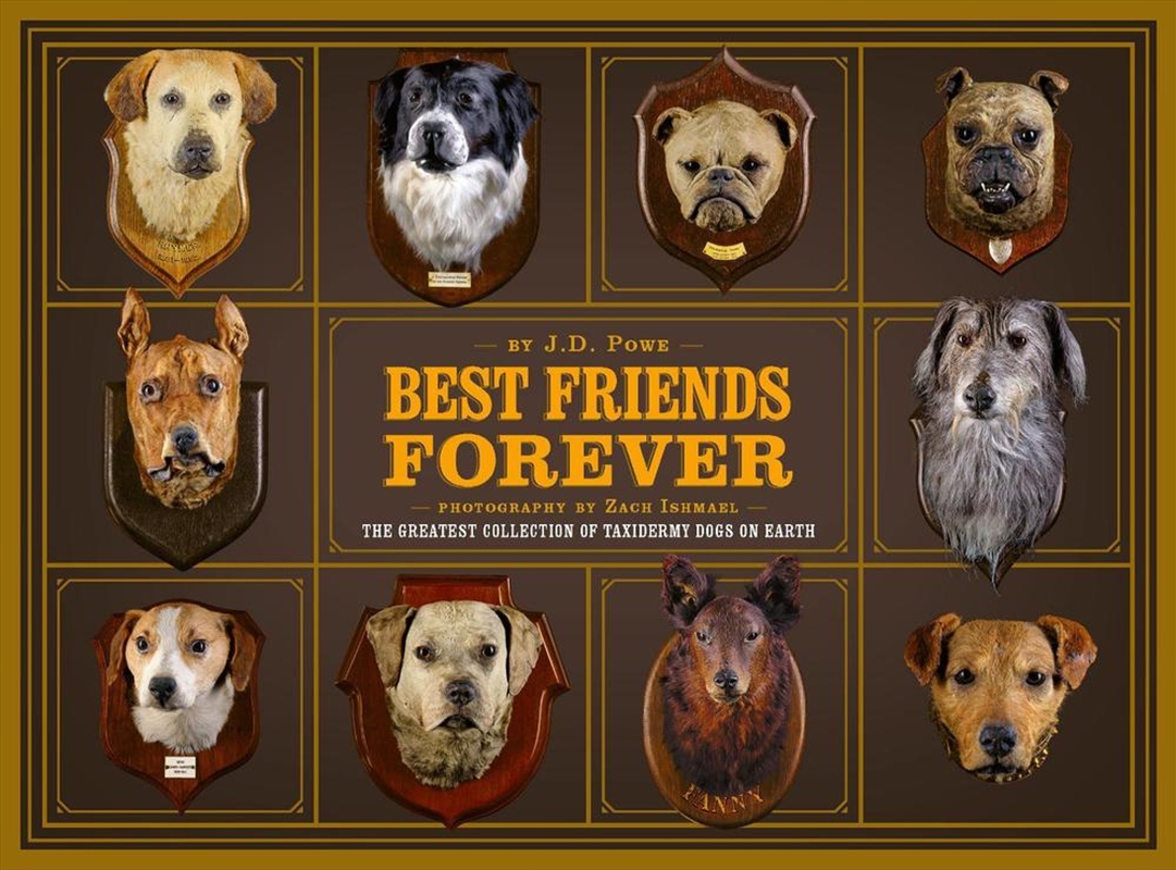 Best Friends Forever/Product Detail/Society & Culture