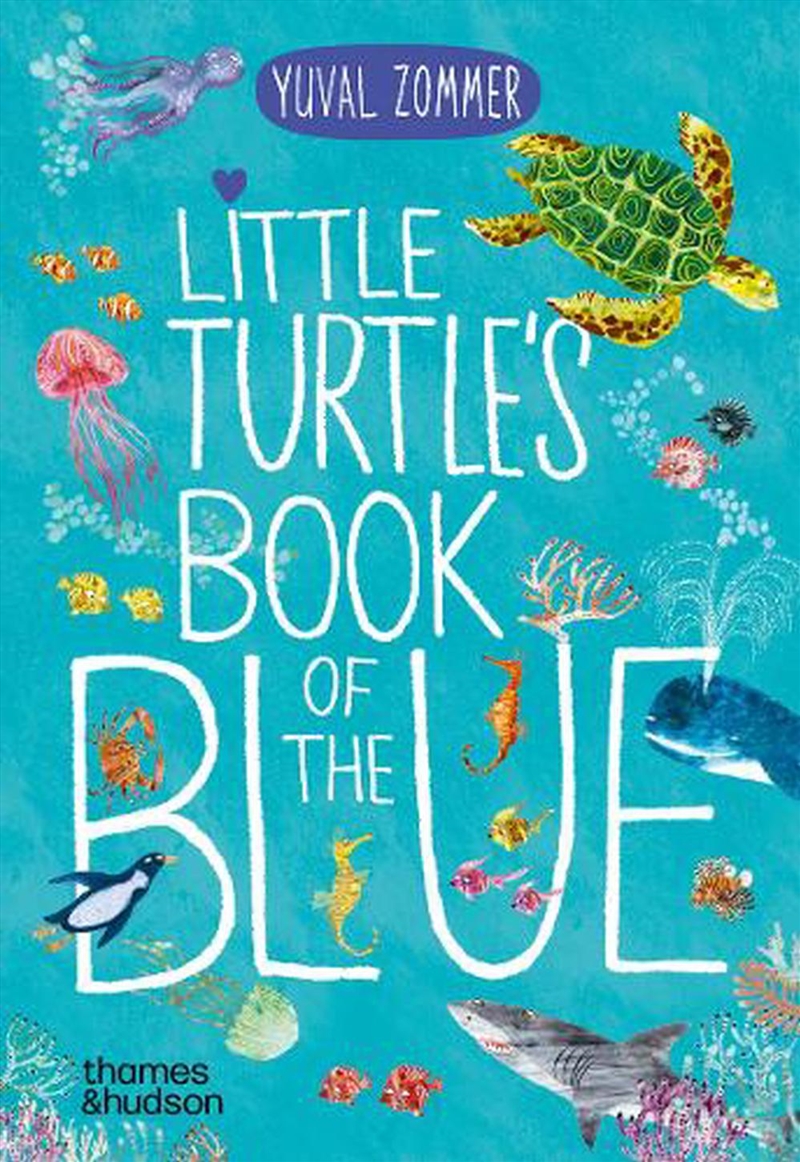 Little Turtle's Book of the Blue/Product Detail/Early Childhood Fiction Books
