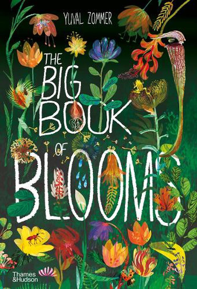 Big Book of Blooms/Product Detail/Childrens