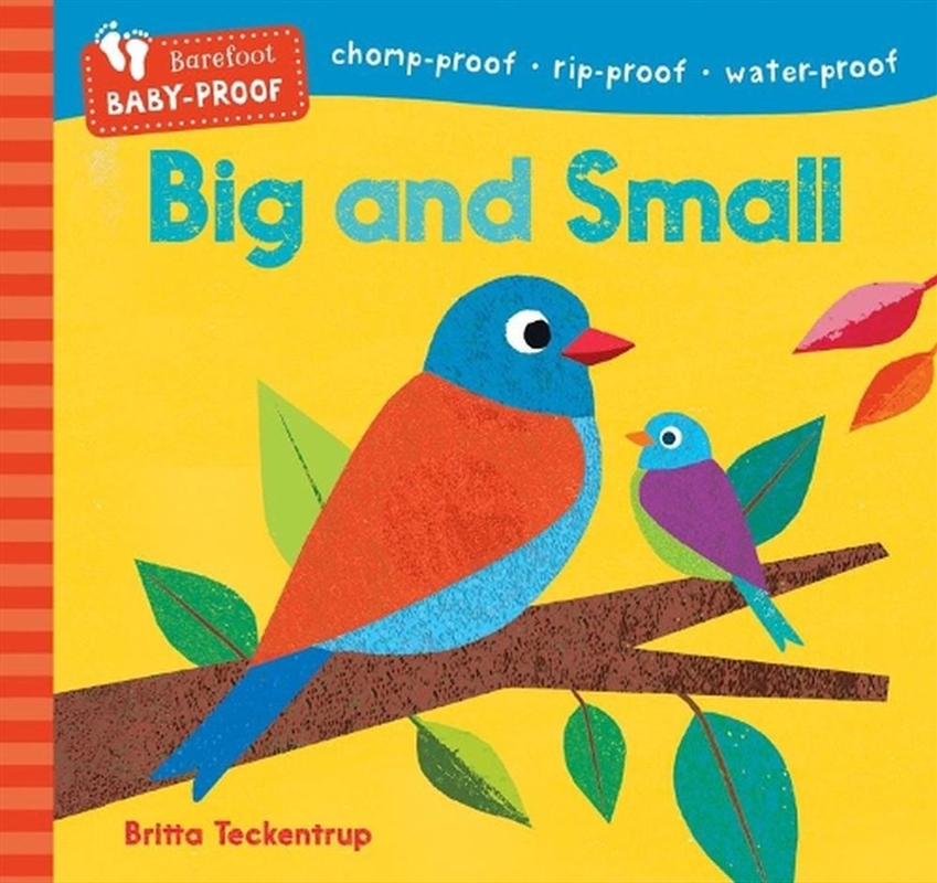Barefoot Baby-Proof: Big and Small/Product Detail/Early Childhood Fiction Books