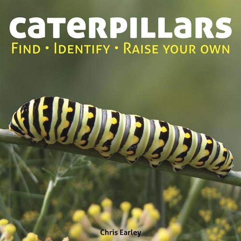 Caterpillars: Find - Identify - Raise Your Own/Product Detail/Early Childhood Fiction Books