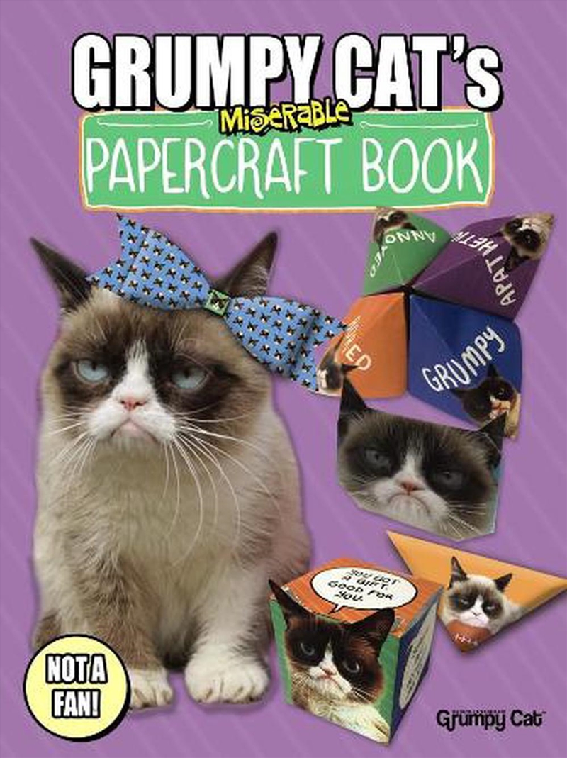 Grumpy Cat's Miserable Papercraft Book/Product Detail/Kids Activity Books