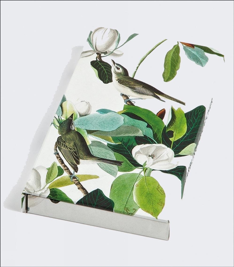 Warbling Flycatcher, James Audubon: 8-Pen Set/Product Detail/Stationery