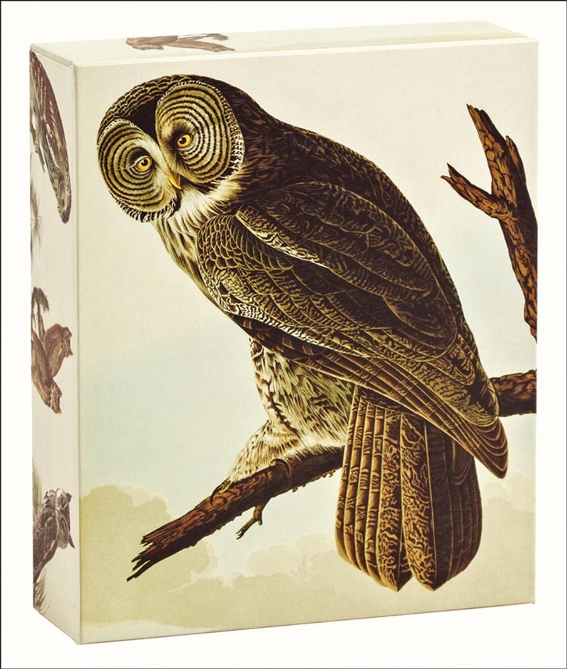 Audubon Owls: QuickNotes/Product Detail/Stationery