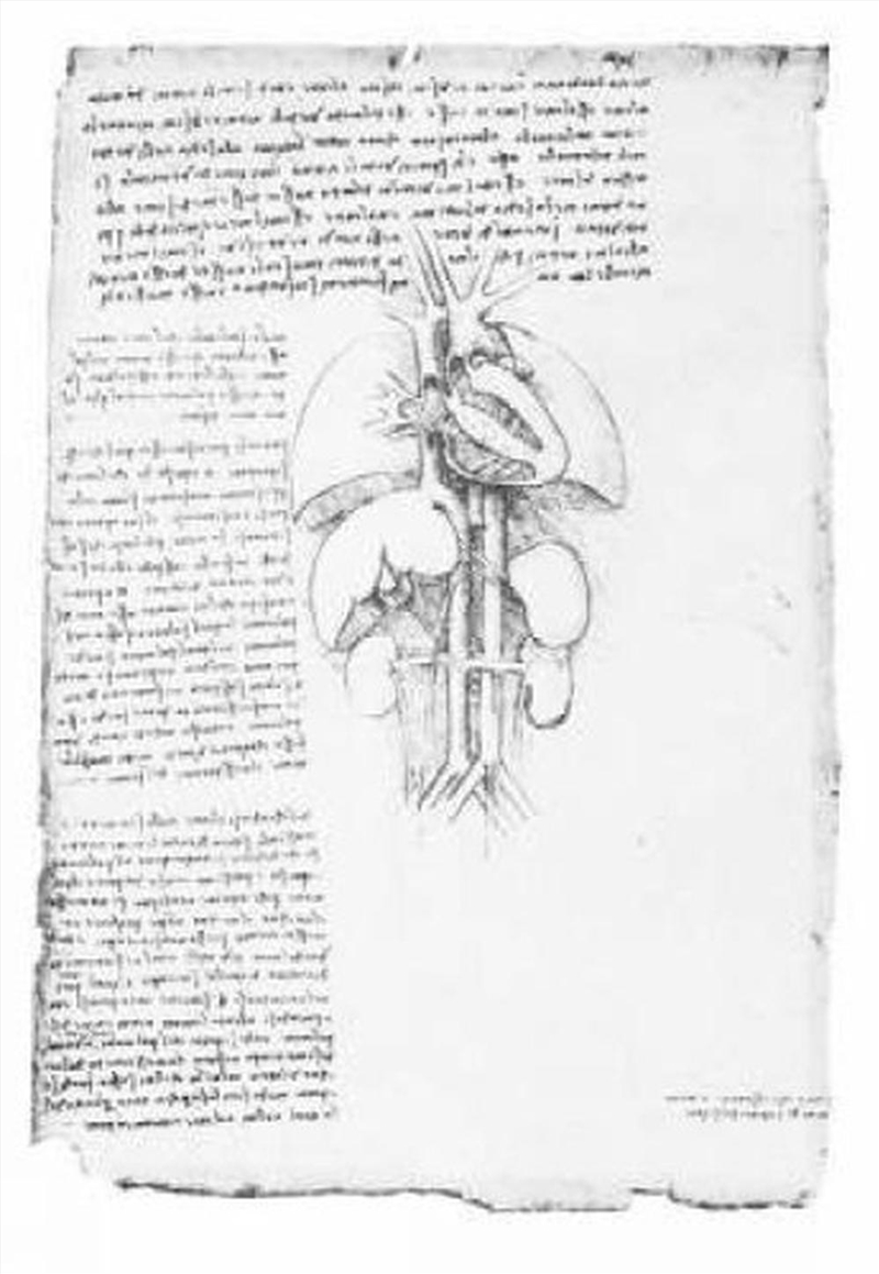 Leonardo's Anatomical Drawings/Product Detail/Art