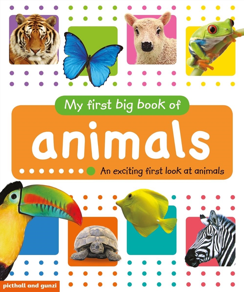 My First Big Book of Animals/Product Detail/Early Childhood Fiction Books