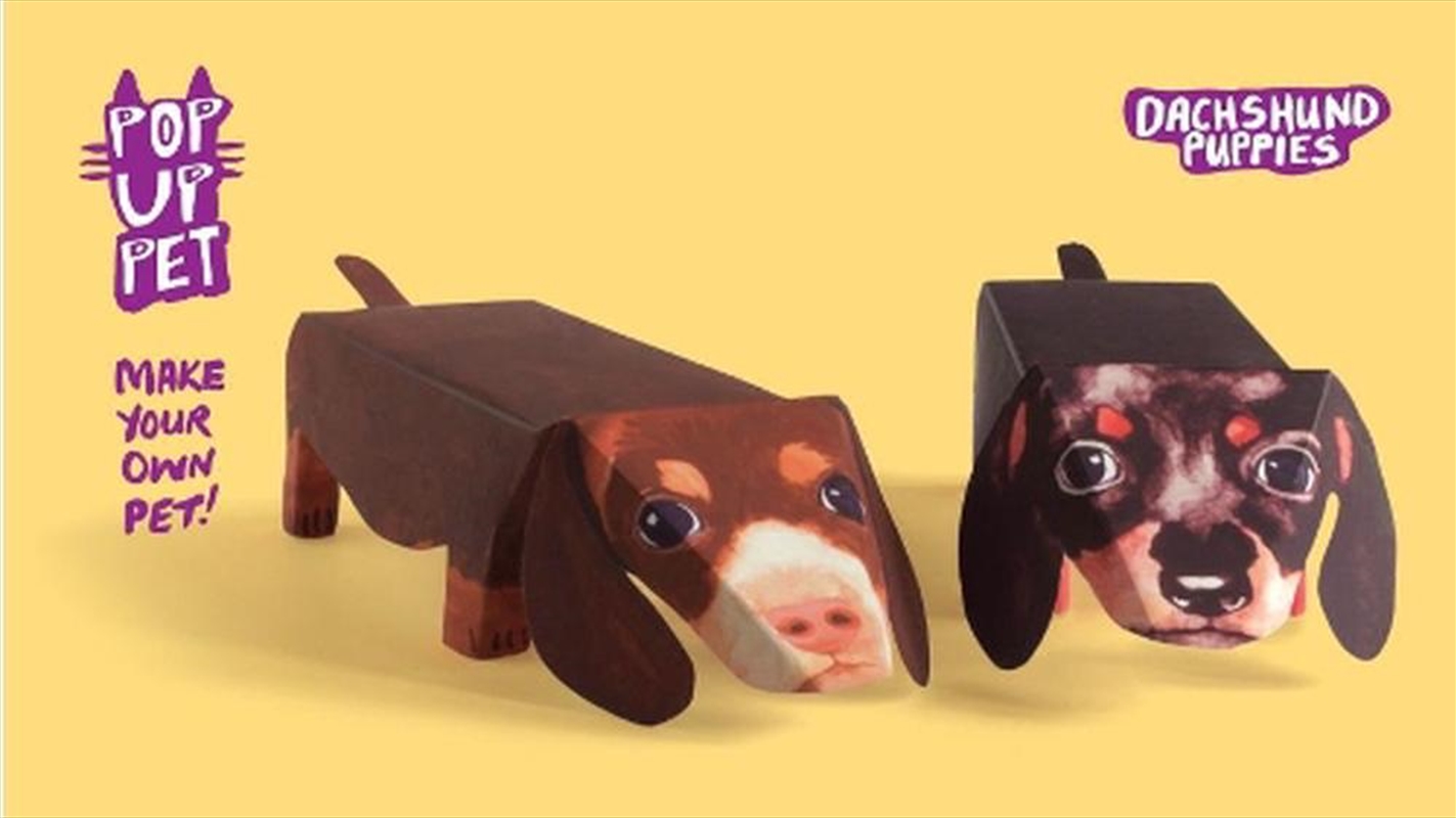 Pop Up Pet Dachshund Puppies/Product Detail/Kids Activity Books