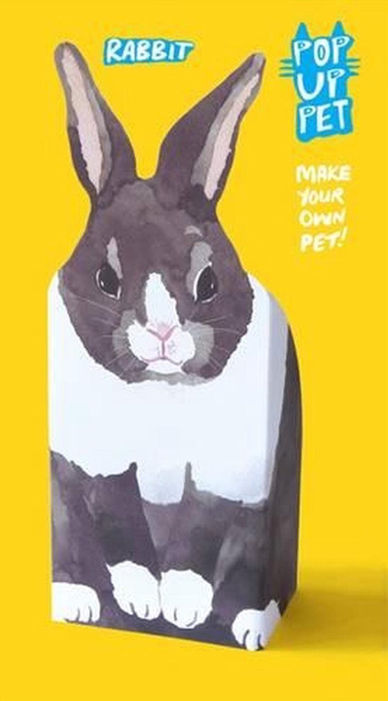 Pop Up Pet Rabbit/Product Detail/Kids Activity Books