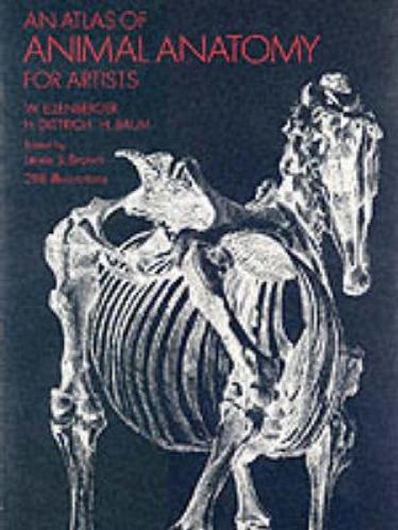 Atlas of Animal Anatomy for Artists/Product Detail/Art