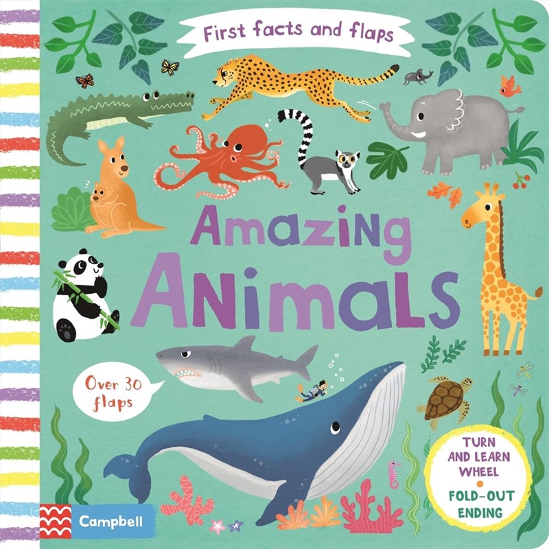 Amazing Animals/Product Detail/Early Childhood Fiction Books