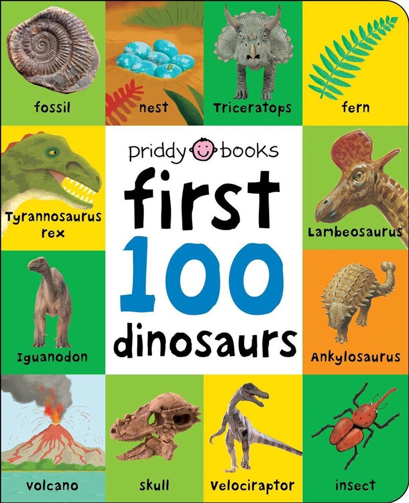 First 100 Dinosaurs/Product Detail/Early Childhood Fiction Books