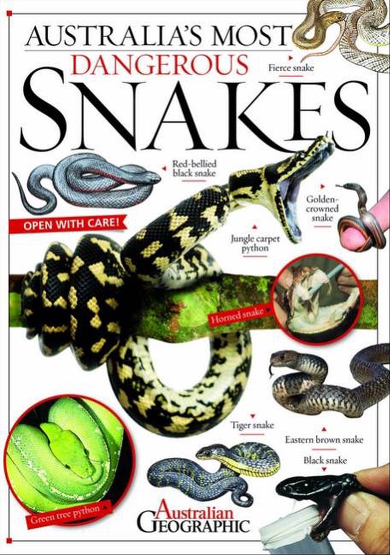 Aus Most Dangerous Snakes/Product Detail/Animals & Nature