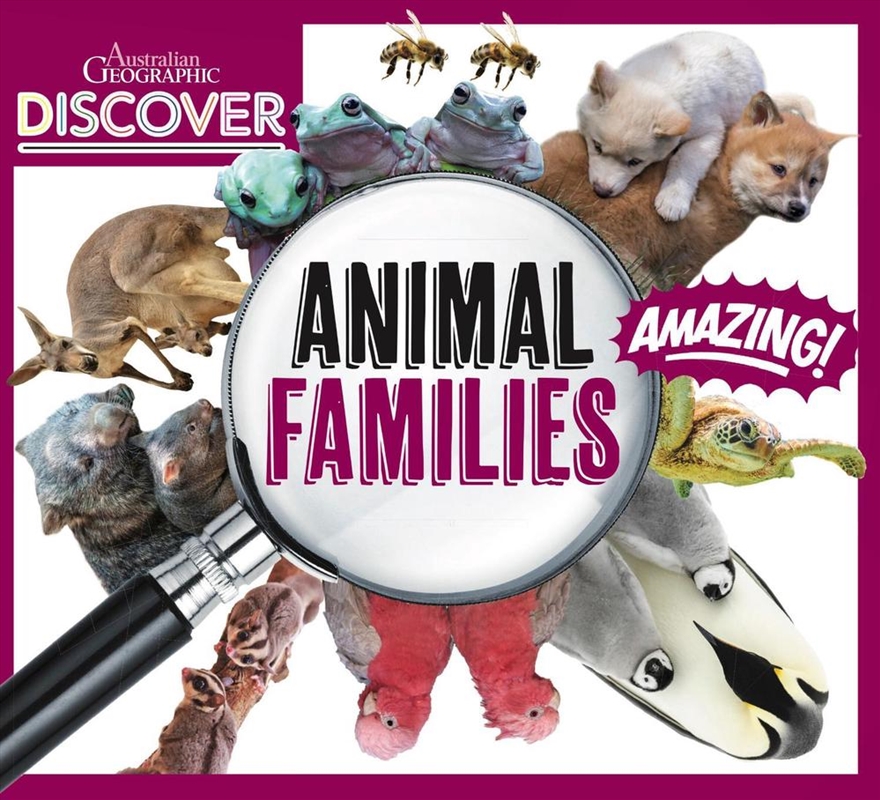 AG Discover: Animal Families/Product Detail/Childrens