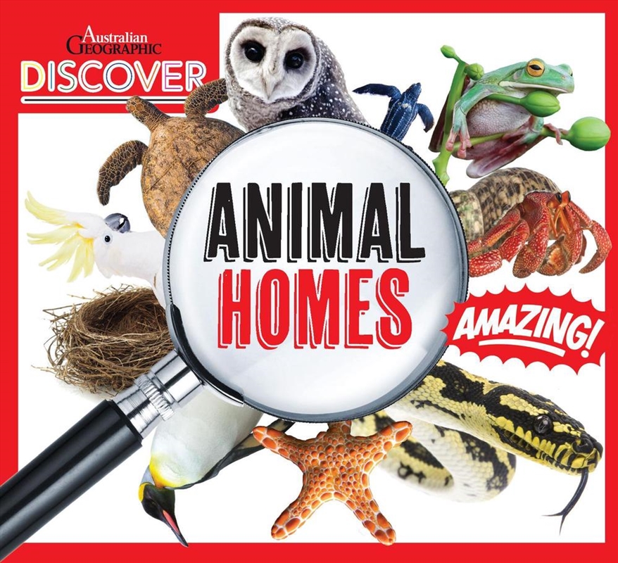 AG Discover: Animals Homes/Product Detail/Childrens