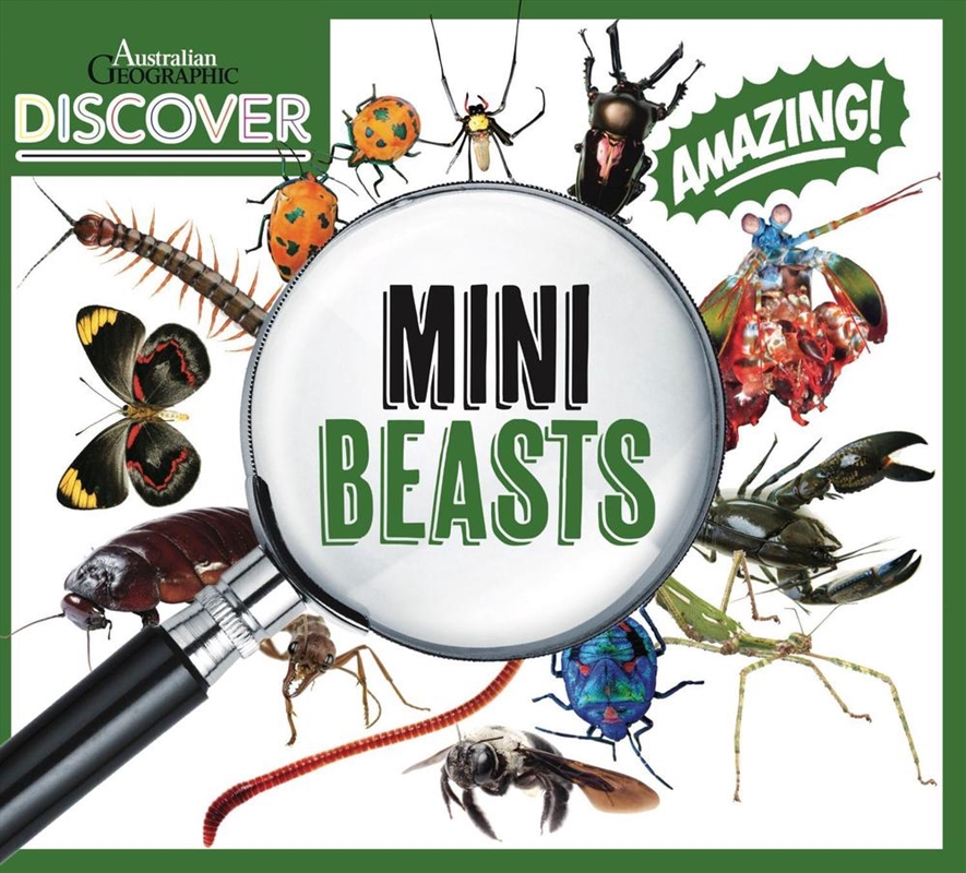AG Discover: Minibeasts/Product Detail/Childrens