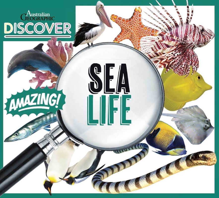 AG Discover: Sea Life/Product Detail/Childrens