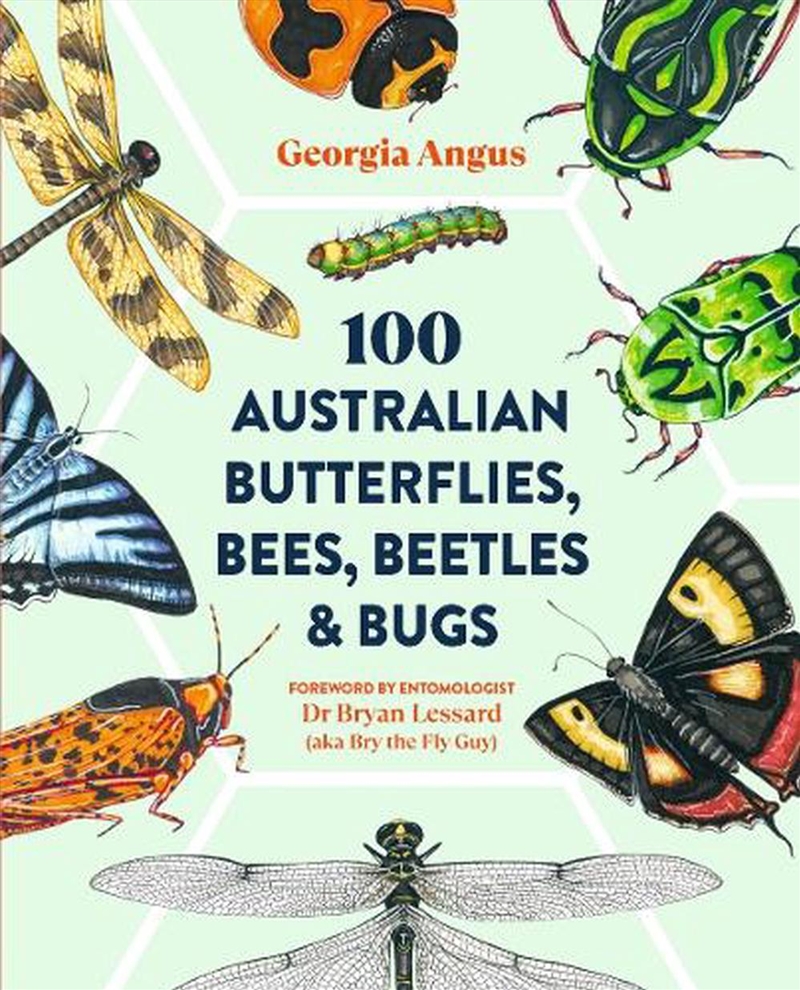 100 Australian Butterflies, Bees, Beetles & Bugs/Product Detail/Animals & Nature