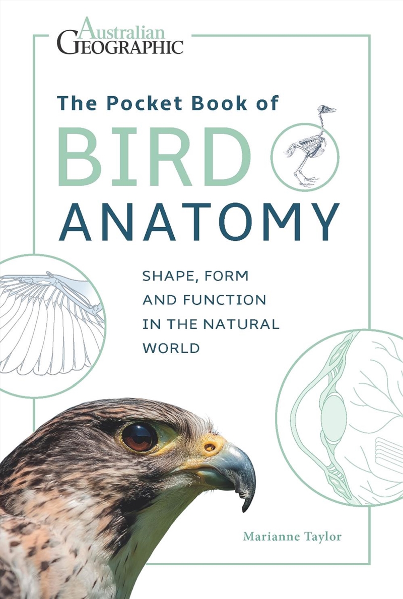 The Pocket Book of Bird Anatomy/Product Detail/Science