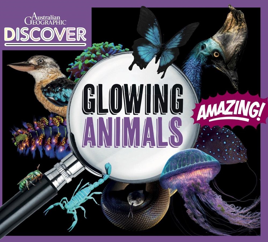 AG Discover: Glowing Animals/Product Detail/Childrens