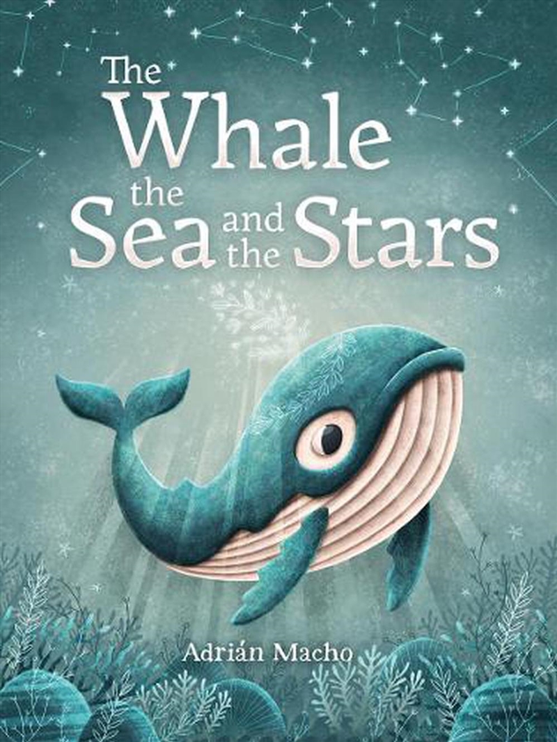 The Whale, the Sea and the Stars/Product Detail/Childrens Fiction Books
