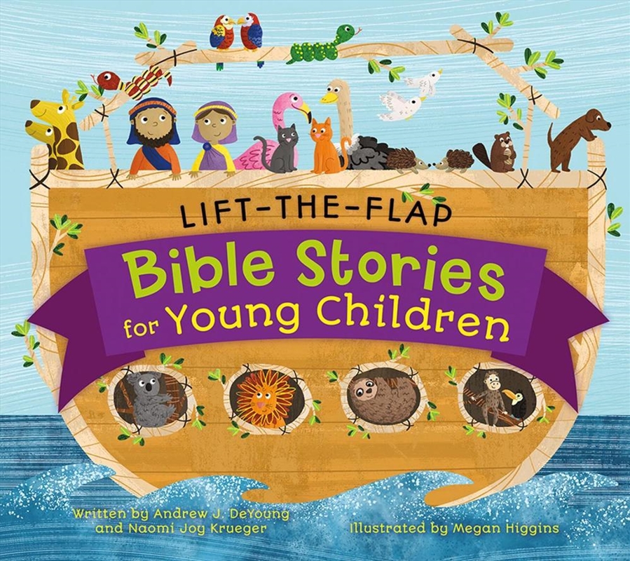 Lift-The-Flap Surprise Bible Stories/Product Detail/Religion & Beliefs