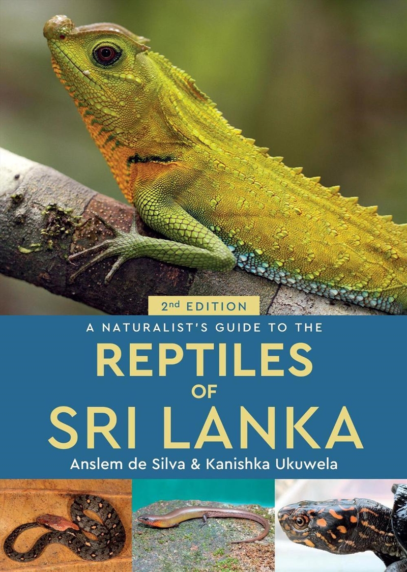 A Naturalist's Guide to the Reptiles of Sri Lanka (2nd edition)/Product Detail/Animals & Nature