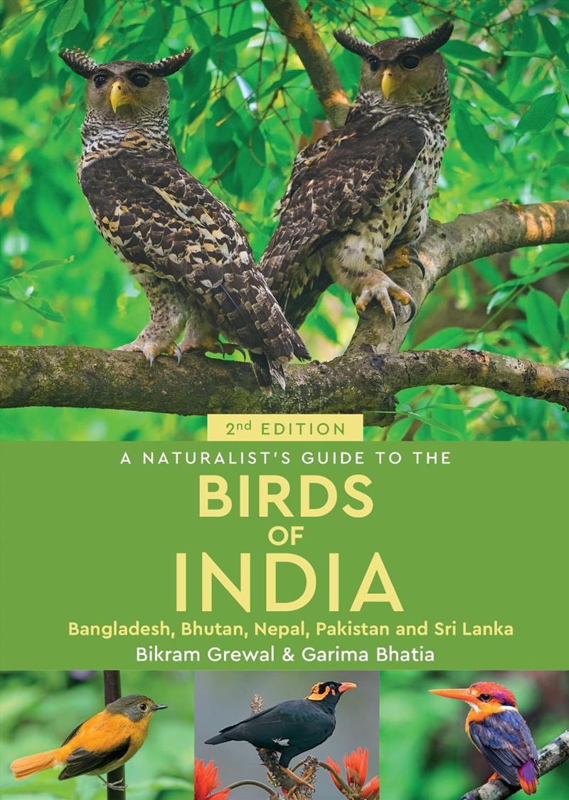 A Naturalist's Guide to the Birds of India/Product Detail/Animals & Nature