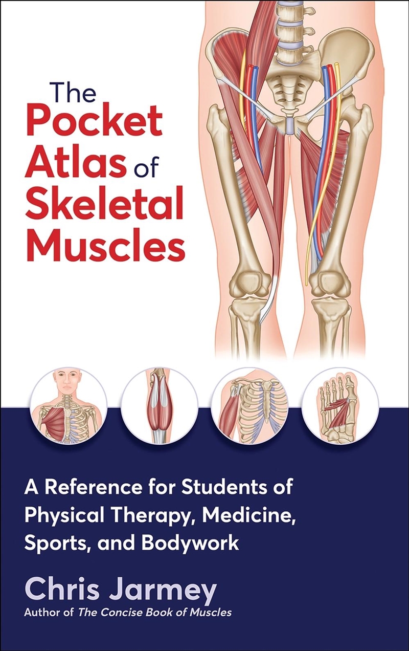 The Pocket Atlas of Skeletal Muscles/Product Detail/Healthcare