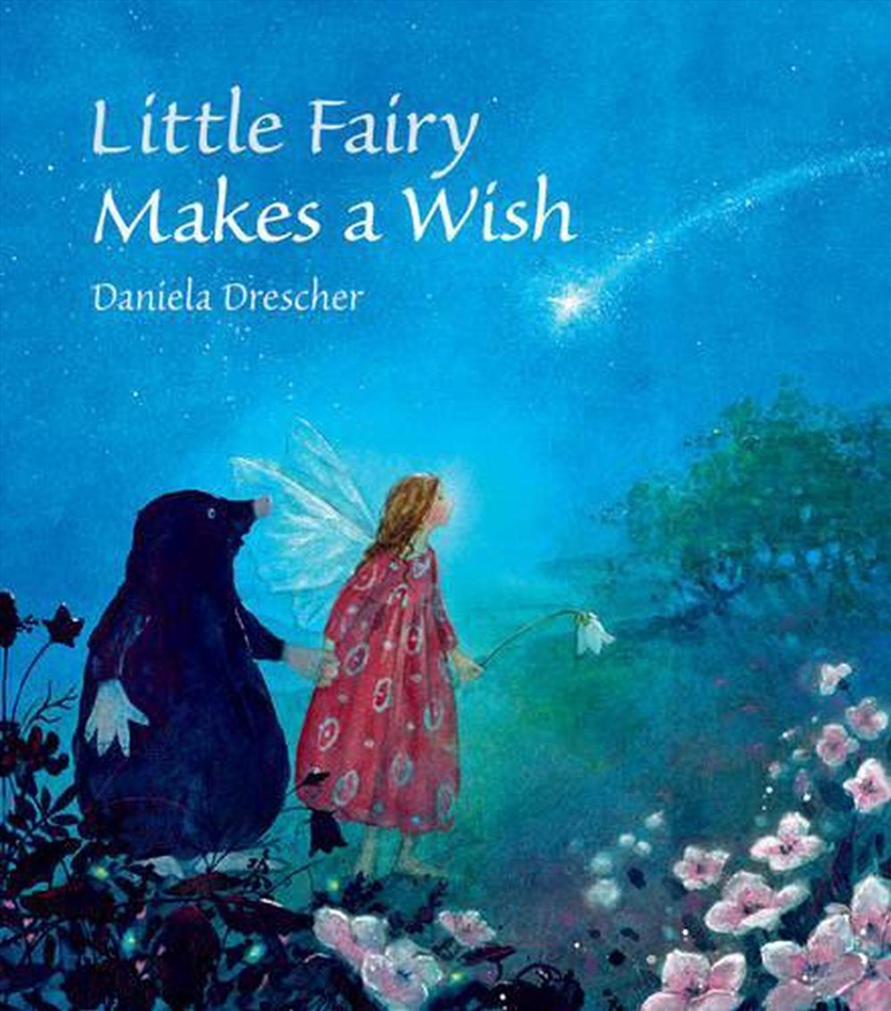 Little Fairy Makes a Wish/Product Detail/Childrens Fiction Books
