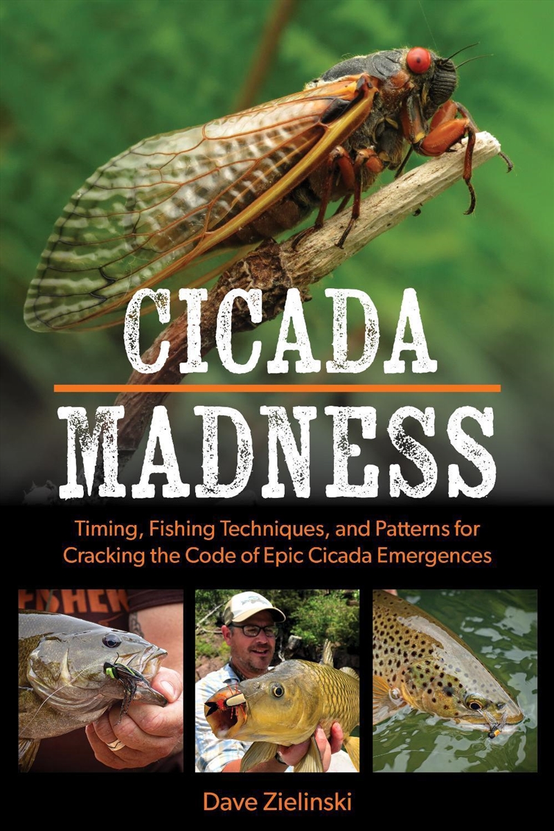 Cicada Madness/Product Detail/Sport & Recreation