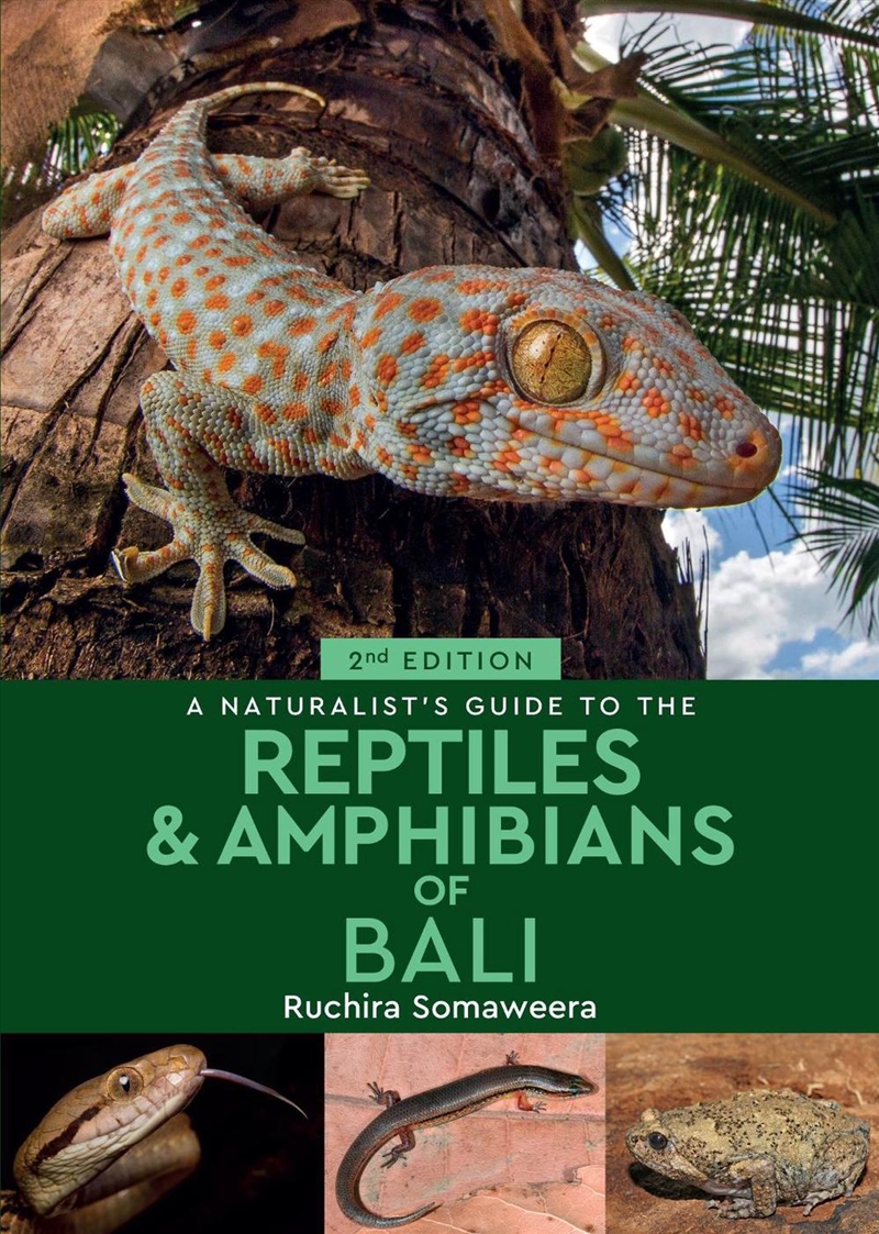 A Naturalist's Guide to the Reptiles & Amphibians of Bali (2nd edition)/Product Detail/Animals & Nature