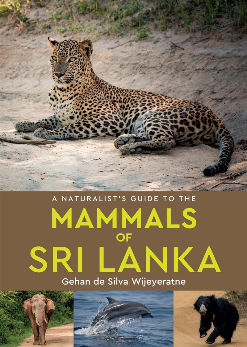 A Naturalist's Guide to the Mammals of Sri Lanka/Product Detail/Animals & Nature