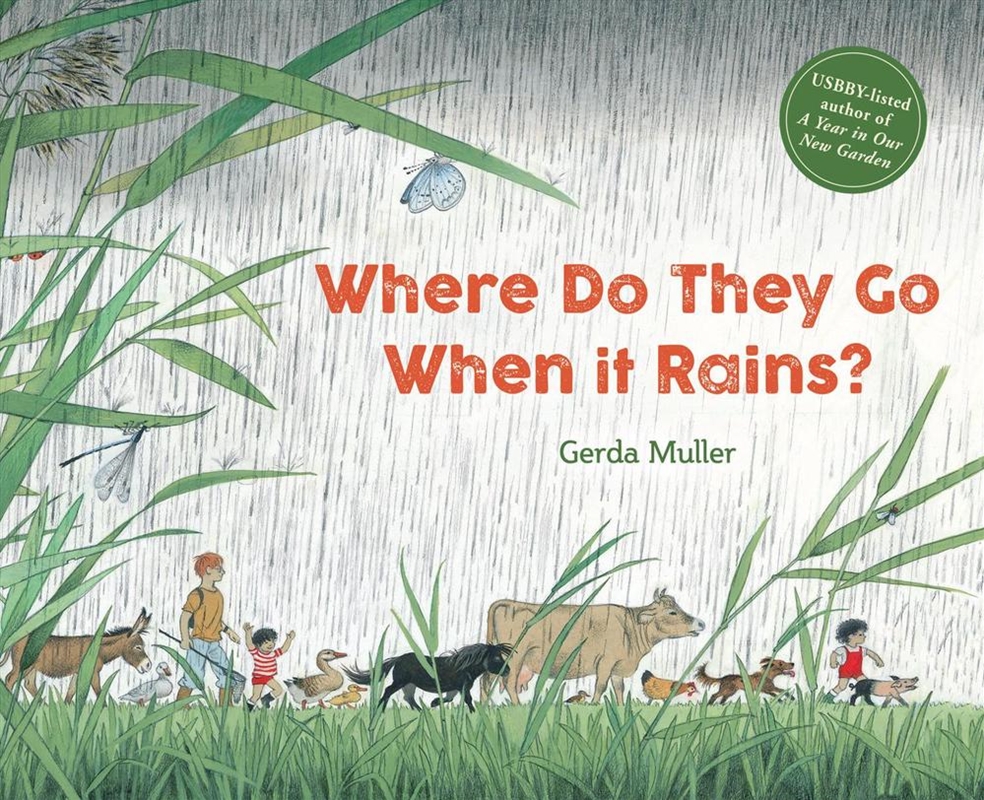 Where Do They Go When It Rains?/Product Detail/Early Childhood Fiction Books