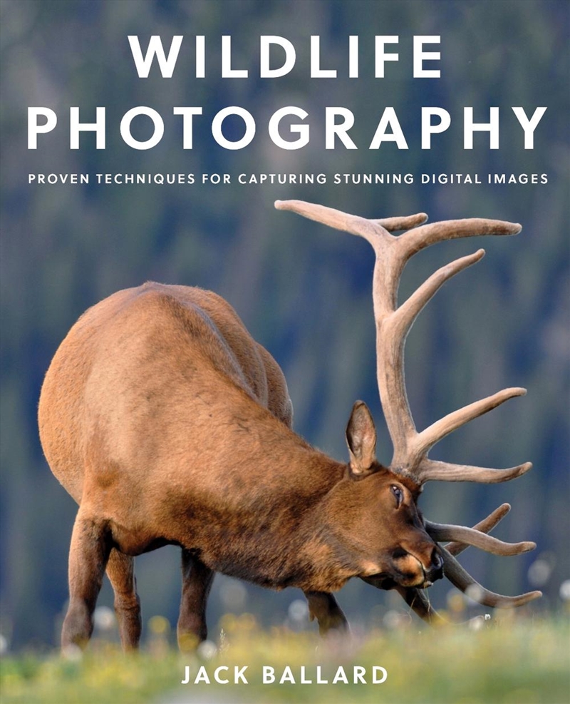 Wildlife Photography/Product Detail/Photography