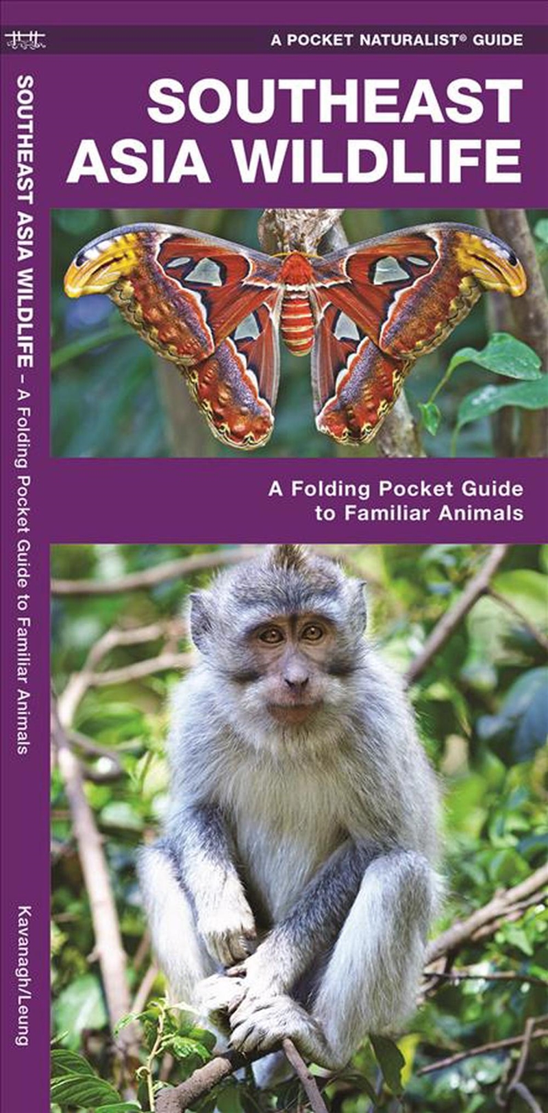 Southeast Asia Wildlife/Product Detail/Animals & Nature