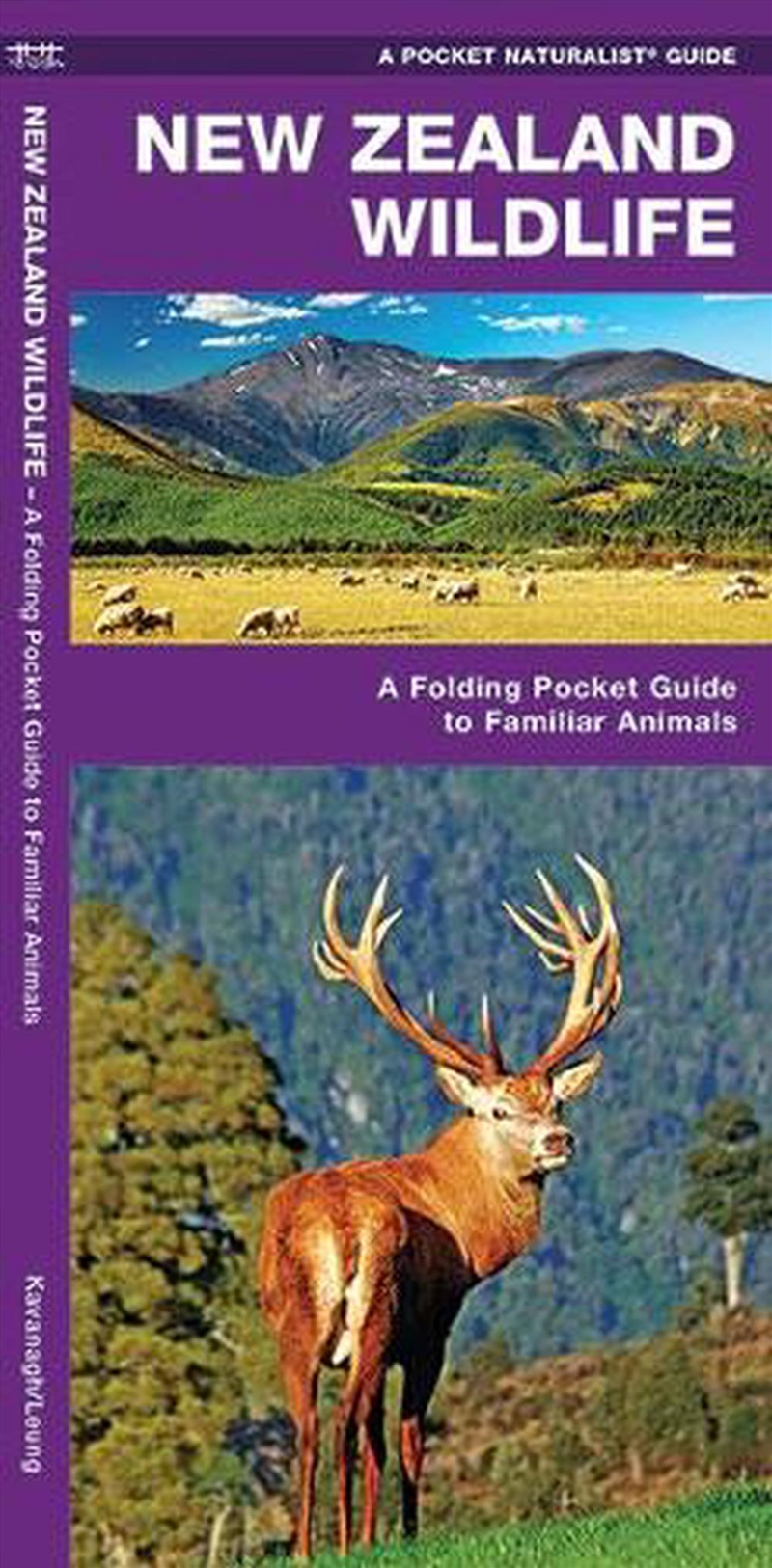 New Zealand Wildlife/Product Detail/Animals & Nature