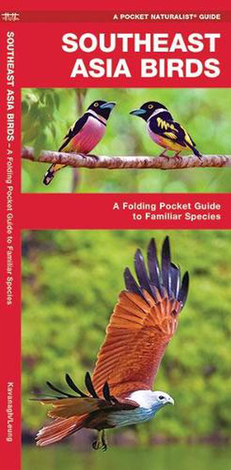 Southeast Asia Birds/Product Detail/Animals & Nature