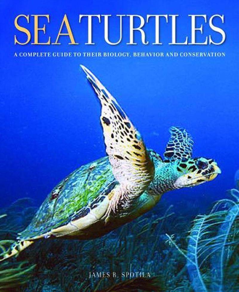 Sea Turtles/Product Detail/Religion & Beliefs