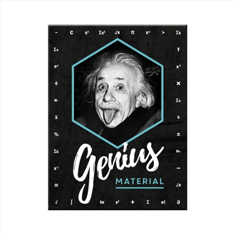Nostalgic-Art Magnet Einstein Genius 6x8x0.2cm/Product Detail/Stationery