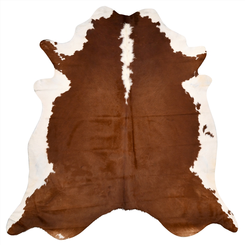 Genuine Cowhide Rug Brown and White 3.40 - 4sqm/Product Detail/Homewares