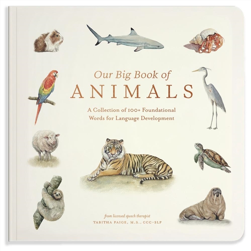 Our Big Book of Animals/Product Detail/Childrens